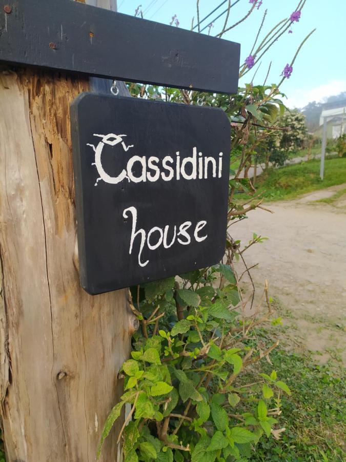 Cassidini House Apartment Monteverde Екстериор снимка